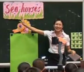 Sea Horse �|ݸݸ������С�W ���P�� �V�|ʡС�WӢ�Z��x�̌W�n��