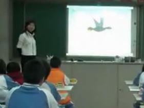 �w�e���ݷe ������� κ��Ƽ_���꼉С�W���W�n��չʾ�^Ħ�n