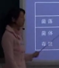 DNA����Ҫ�z�����|(zh��)_��һ���(y��u)���n���ҕ�l