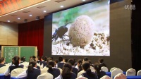 第二屆全國初中“語文主題學習”課堂教學競賽決賽【視頻】臧寶靜: 《昆蟲記》導讀教學設計下