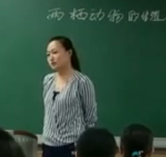 �˽̰����������꼉�ԡ��ɗ��������ֳ�Ͱl�����ӱ�ʡ - ������