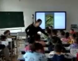 ������С�W(xu��)�Z��һ�꼉�σ��R�ֵ����n�������ຣʡ��(y��u)�n