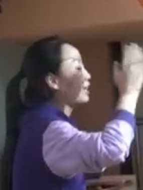 ��ʮһ�ý̎���ِK�������c���n�Ã���ҕ�l�Wǰ�M��Pre-k��PreRISE��