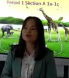 Go for it ��Ŀ��Ӣ�Z���꼉��Unit5 Why do you like pandas SectionA��1a-1c������ʡ���n