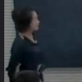 �X�ϰ�С�W���g���ăԵ�12�n���������ֵ��롷����ʡ - ��h