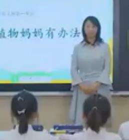 ������ȫ���y��С�W�Z�ă��|�n���꼉�σԵ�3�n��ֲ������k���������y��