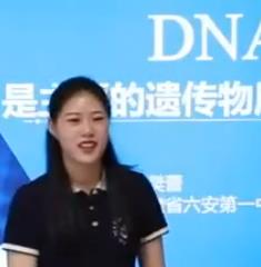 �����������n���½̲��n�ý̌W���|�n��ِ�����գ����޶������µ�һ����DNA����Ҫ���z�����|������һ��