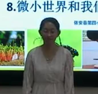 �̿ư�С�W�ƌW���꼉�Ե�8�n��΢С������҂���������- ����