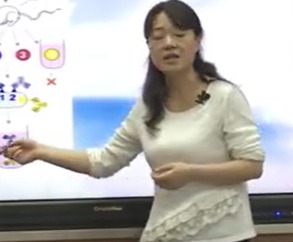 �˽̰���������x��3 �F������Ƽ����}�����：�����B�ͺ���ֲ���g������������̎���ِ�@���n���̌Wҕ�l��